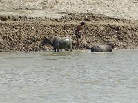 7 - Mandalay - (Mingun et Thone Se Pay)  (54)
